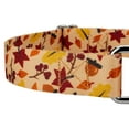 thumbnail image 5 of Country Brook Petz® Fall Foliage Martingale Dog Collar and Leash, Small, 5 of 6