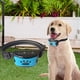 thumbnail image 3 of Colr perros sin sensibilidad , , eléctrico, ultrasónico, para mayoría perro Colco Collar de entrenamiento de ladridos, 3 of 8