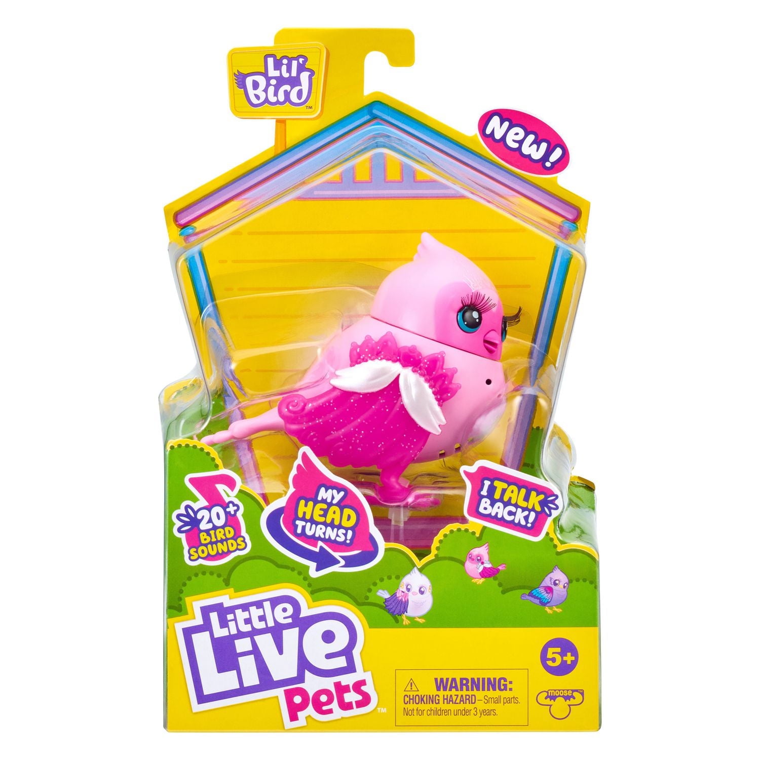 P’tit Oiseau Little Live Pets – Reine Gazou