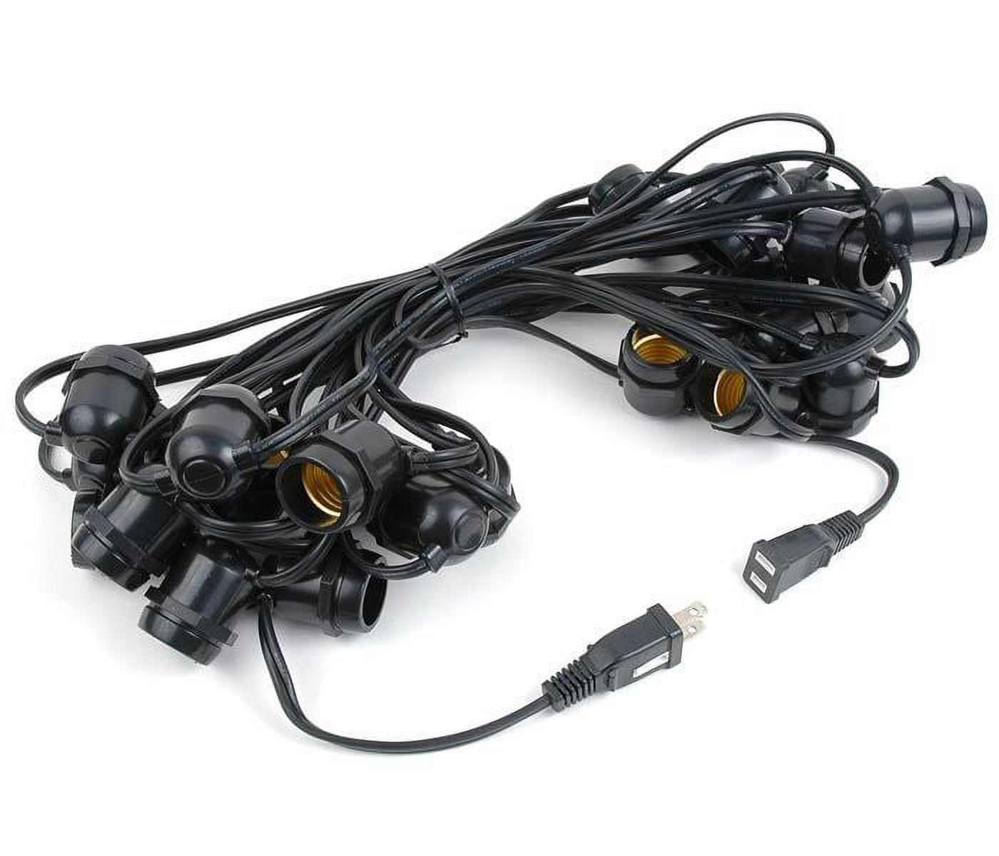 Novelty Lights Clear Incandescent Edison Outdoor String Lights with 25 Bulbs S14 Vintage Bulbs Black Wire 37.5 Feet