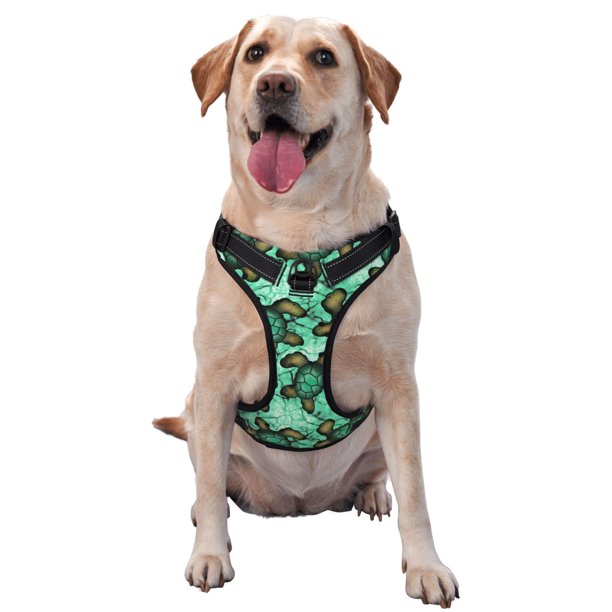 Fotbe Sea Turtle Arnés para Perro con Estampado –Chaleco Ajustable Acolchado con Asa de Control para Perros Grandes-Small