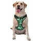 thumbnail image 1 of Fotbe Sea Turtle Arnés para Perro con Estampado –Chaleco Ajustable Acolchado con Asa de Control para Perros Grandes-Small, 1 of 6