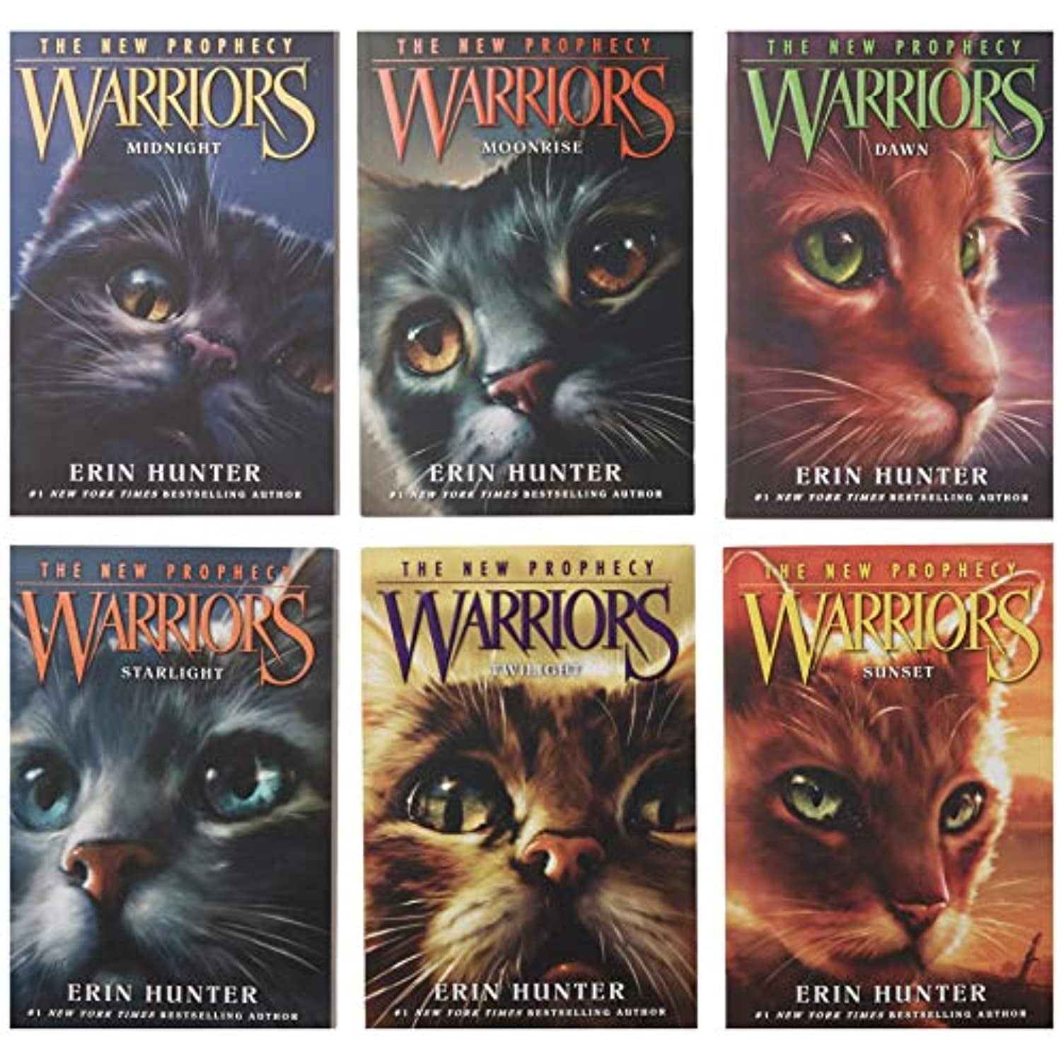 Warrior Cats Series 1 And 2 - The Prophecies Begin And The New Prophecy By  Erin Hunter 12 Books Set 