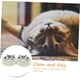 thumbnail image 5 of Pet bowl, dog bowls, feeding bowl for dogs, feeding bowl for kittens, cute dog book bowl, 5 of 5