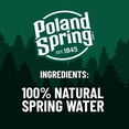 thumbnail image 2 of Poland Spring Maine Spring Water, 16.9 fl oz Bottles (24 Pack), 2 of 5