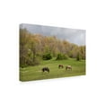 thumbnail image 2 of Trademark Fine Art 'Horses In The Field West Virginia Color' Canvas Art by Monte Nagler, 2 of 3