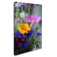 thumbnail image 2 of Trademark Fine Art "Cosmo Duo" Canvas Art by Philippe Sainte-Laudy, 2 of 3
