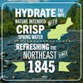 thumbnail image 3 of Poland Spring Maine Spring Water, 700Ml Sport Cap Bottles (Pack Of 24), 3 of 16