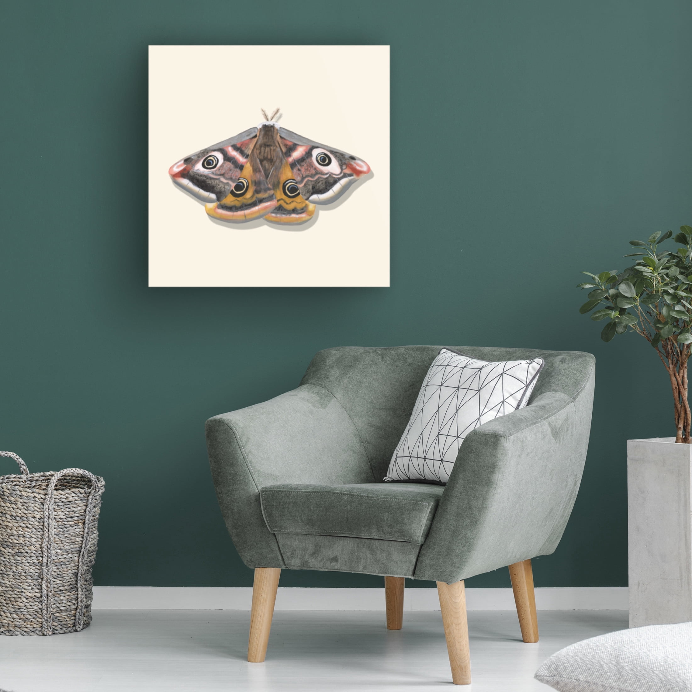 Canvas Wall Art - Michael Willett 'Watercolor Moths I' Wall Art for Living Room, Bedroom, or Office Décor by Trademark Fine Art - 35 x 35 Inches