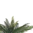 thumbnail image 2 of Hill Interiors Artificial Fern Bunch, 2 of 4