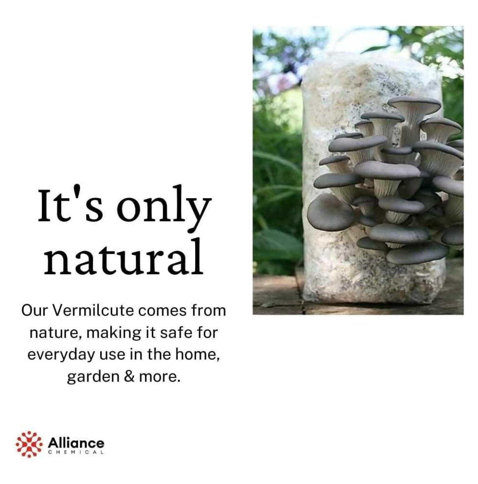 Premium Organic Fine Vermiculite - 2 Cubic Feet (51 Quarts) - Soil Amendment for Indoor and Outdoor Gardens, Potting Orchids, , Fungi, and