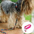 thumbnail image 4 of Lindos patrones de frutas en un collar de nailon brillante y correa a juego., 4 of 5