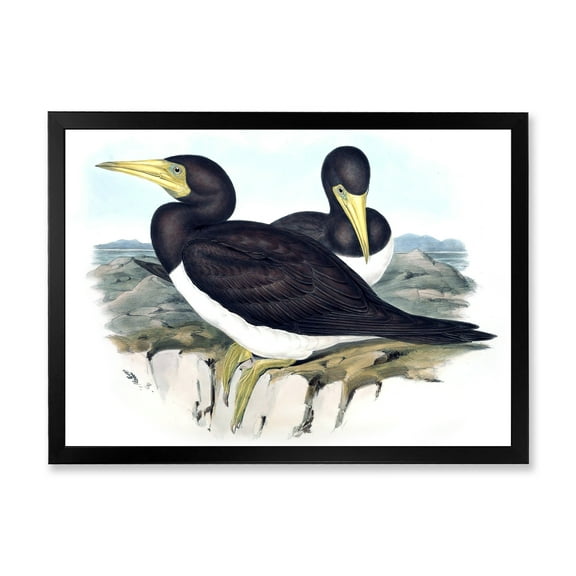 Designart 'Ancient Australian Birds XII' Traditional Framed Art Print