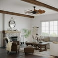 thumbnail image 5 of Springer Collection 52" Twelve-Blade 52" Ceiling Fan, 5 of 6