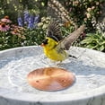thumbnail image 4 of Outdor Copper Disc Bird Bath For Bird Feeders Brass Water Basin Cleaning Disk For Outdoor Bird Bath Bird Feeders For Outdoor Use Copper Bird Bath Cleaner With Protective Coating, 4 of 5