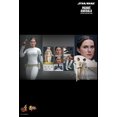 thumbnail image 2 of Figure Hot Toys MMS678 - Star Wars II : Attack Of The Clones - Padmé Amidala, 2 of 5