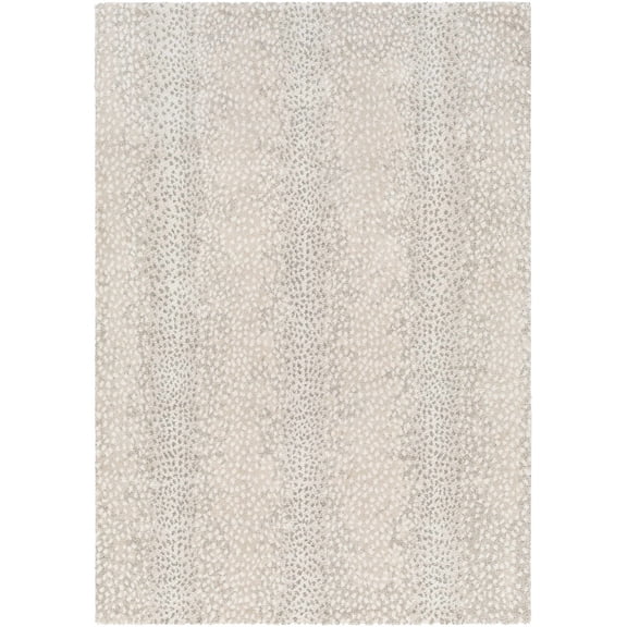 BoutiqueRugs Daiva Contemporary Area Rug - Bone, Dark Gray, Cloud Gray - 2' x 2'11"