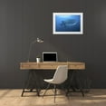 thumbnail image 3 of Shimlock, Jones 14x11 White Modern Wood Framed Museum Art Print Titled - Indonesia, Papua Whale shark and remoras, 3 of 4