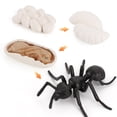 thumbnail image 3 of 3 juegos de de de crecimiento de animales para , juguete, material didáctico natural Hugo  Juego de crecimiento de insectos para niños, 3 of 7