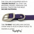 thumbnail image 6 of Regal Dog Products Waterproof Collar & 5ft Leash Set Heavy Duty Biothane, 6 of 8