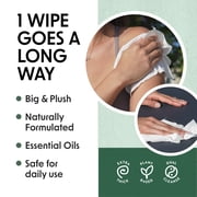 Wipex Embody Body Wipes – Plant-Based Wipes with Tea Tree Oil for Gym & Sports, 225 Ct