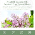 thumbnail image 2 of PHATOIL Clove Essential Oils for Diffusers Humidifier Massage Bath Sleep Relaxation 30ml/1.01 fl.Oz, 2 of 7