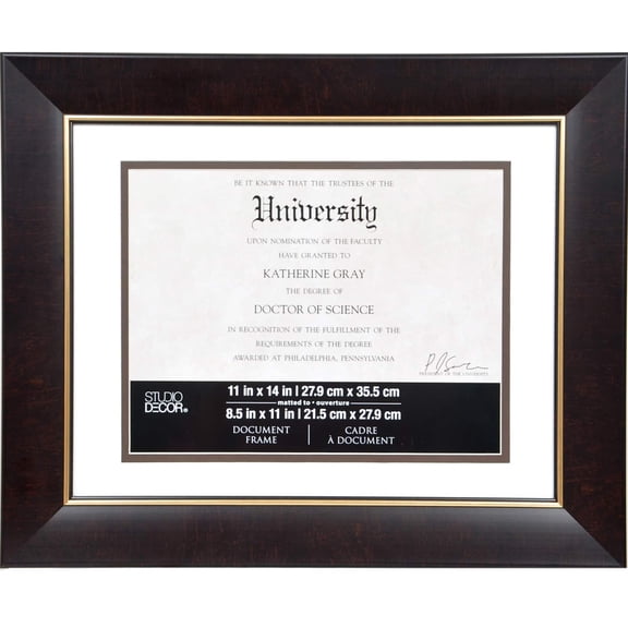 Studio Decor 8.5" x 11" Brown & Gold Document Frame with Mat