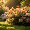 thumbnail image 4 of Decorative Metal Garden Fence, 20 Pack 20ft(L) x 24in(H) Rustproof No Dig Animal Barrier, Black Fence Border for Outdoor Yard, Flower Bed, Landscape Garden Border Edging, 4 of 19