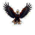 thumbnail image 5 of Multicolor Vinyl Eagle Stickers Waterproof Detective Bald Eagle Stickers for Notebooks Laptops Instruments, 5 of 8