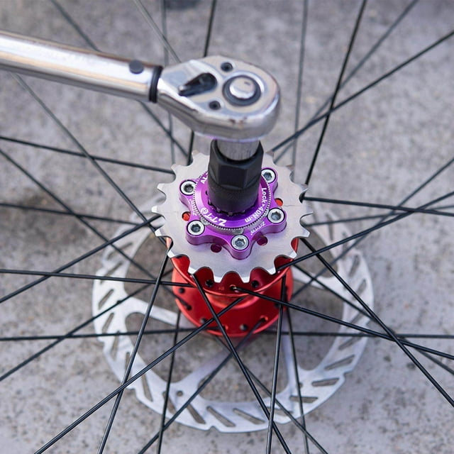 tredstone Kit de Conversion de Pignon Fixe à Cassette 1 Vitesse MTB pour Moyeu 10/11S 19T