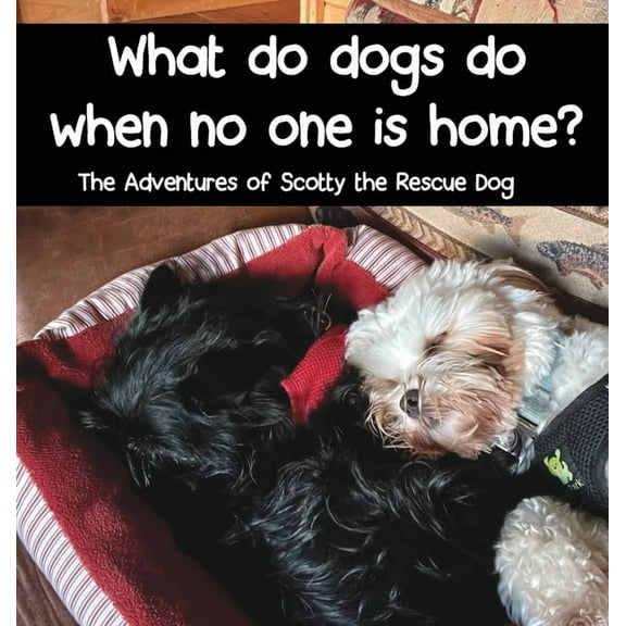 What do dogs do when no one is home?, (Hardcover)