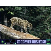 Escape from Rio De Janeiro (Hidden Objects Adventure)