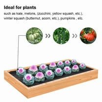 Agfabric Easy-Plant Weed Block Mulch，Weed Barrier Fabric with planting hole, postion hole, 3.0oz, 3'x12',Hole Dia 6"