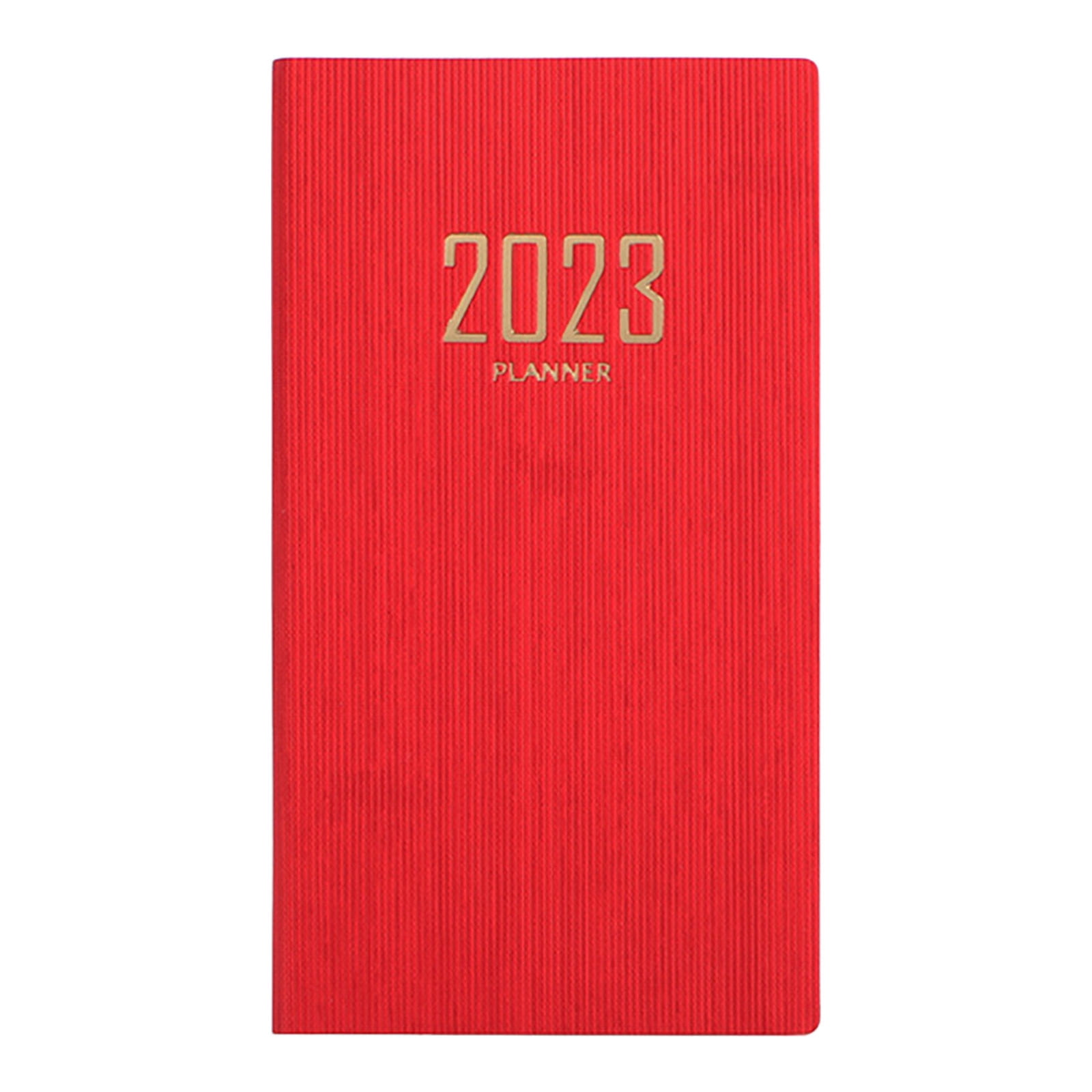 AURIGATE Daily Planner 2023 2024 Daily Planner One Page Per Day Page a-day-on-the-lake-a-group-enjoying-a-summer-day-at-lungern-cora-j
