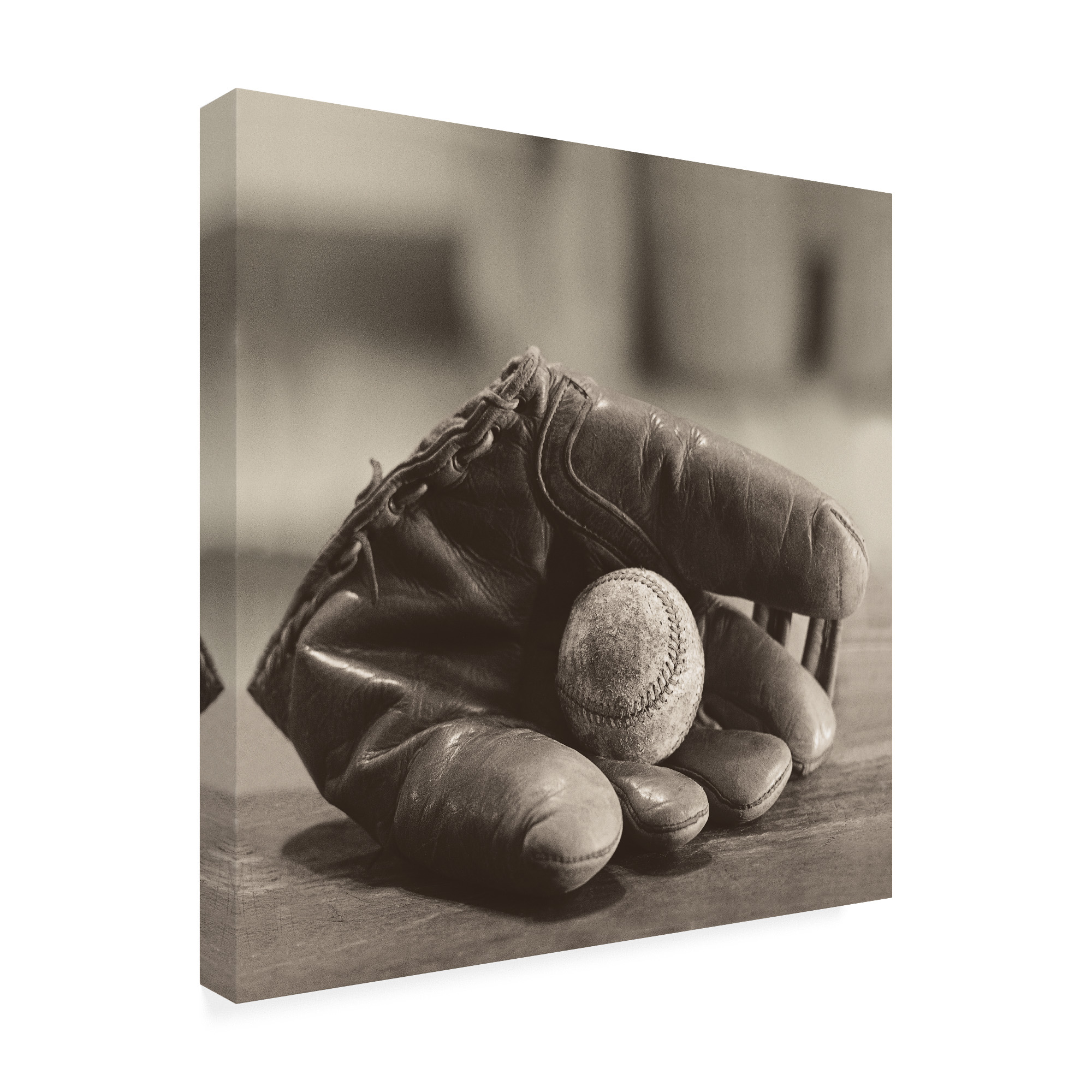 Trademark Fine Art 'Baseball Nostalgia I' Canvas Art by Judy B. Messer