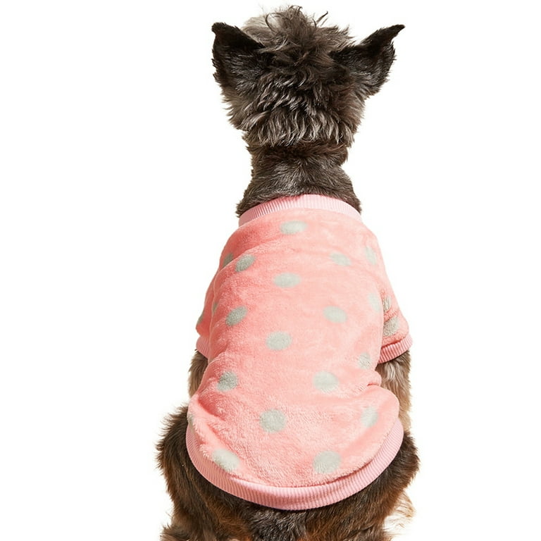 Chiwowow - knitwear and accessories for doggies