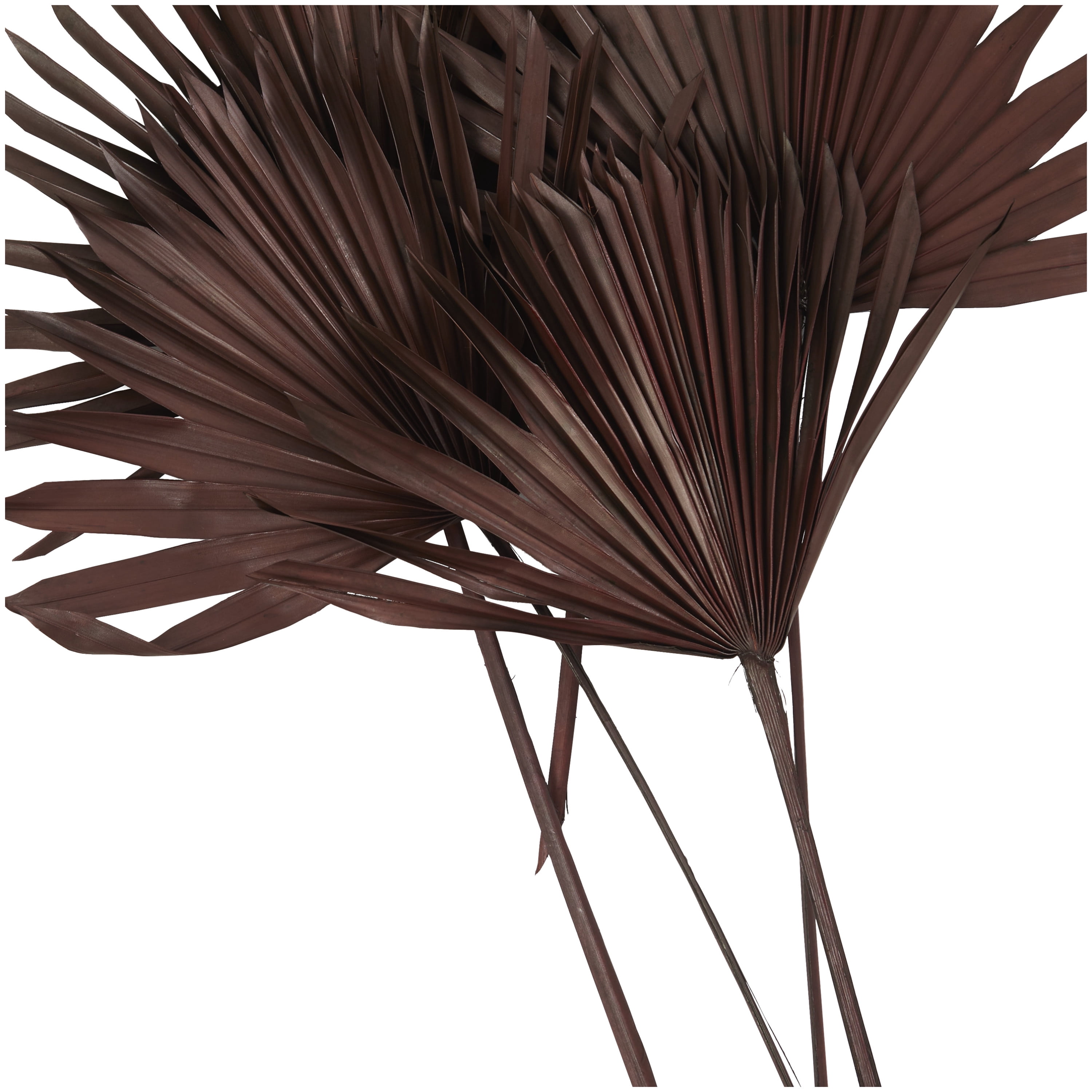 26" Handmade Large Sun Palm Spear Dried Plant Natural Foliage Palm Leaf Bouquet, by DecMode