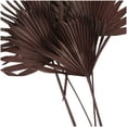 thumbnail image 4 of 26" Handmade Large Sun Palm Spear Dried Plant Natural Foliage Palm Leaf Bouquet, by DecMode, 4 of 8