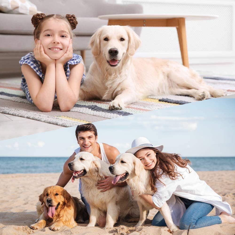 Dkelincs 42 inch Heavy Duty Dog Cage Foldable Dog Crate w/2 Doors&Divider XL Dog Kennel w/Handle for Medium Puppy