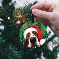 thumbnail image 5 of WIRESTER Large 3 inch Acrylic Ready to Hang Ornament, Hanging Ornaments for Christmas Tree Holidays Party Home Office Xmas Tree Decoration Gift - Basset Hound Dog Happy, 5 of 7