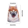 thumbnail image 3 of 3D Cat Breathable Ski Balaclava Sheisty Face Mask With Ears For Outdoor Ski Activities, 3 of 8