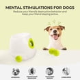 thumbnail image 5 of Automatic Ball Launcher for Dogs Interactive Puppy Pet Ball Indoor Thrower Fetch Machine, 3 Balls Included (2 inch) for Small to Medium Sized Dogs, 5 of 5