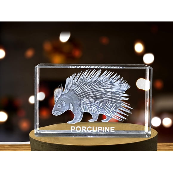 Porcupine Enigma | 3D Engraved Crystal Keepsake