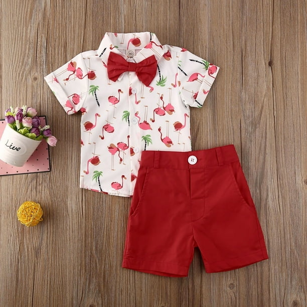 Baby boy sale flamingo shirt