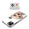 thumbnail image 2 of Head Case Designs Officially Licensed Animal Club International Faces Golden Retriever Hard Back Case Compatible with Apple iPhone 14 Pro Max, 2 of 7