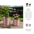 thumbnail image 6 of Ceramic Scalloped Striped Flower Pots for Home Decor - Decorative Planters for Indoor and Outdoor Plants - Plant Pots for Living Room and Garden Decor - Set of 2, 7", 6", Pink & White, 6 of 14