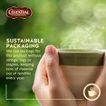 thumbnail image 2 of Celestial Seasonings True Blueberry, 2 of 6