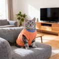 thumbnail image 4 of Dog Sweaters for Small Dogs Girl Boy Winter Puppy Clothes Warm Soft Doggie Sweatshirt Outfit for Dogs Cats Pet Apparel, S, 4 of 5