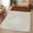 Brown, variant on Small Door Mat Indoor Outdoor 15.7"x23.6", Boho Brown Leather Texture Absorbent Non Slip Entry Rug, Modern Black Striped Low Profile Welcome Mat for Front/Side Door Apartment Entrance Bathroom