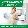 thumbnail image 7 of Bark&Spark Allergy Relief Chews for Dogs - Fish Oil Omega-3 & Probiotics - Itchy Skin, Hot Spots & Immune Support - Bacon Flavor, 7 of 7